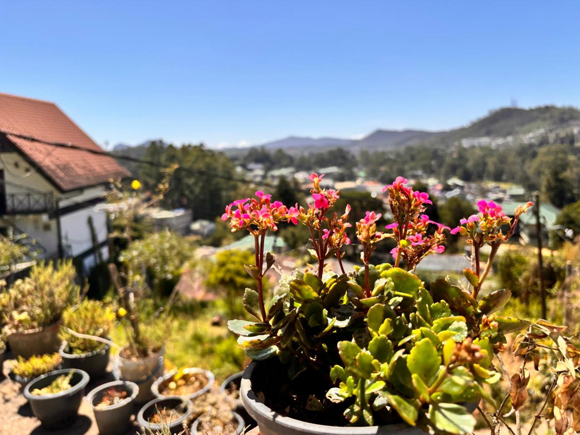 Shiny View Hotel Nuwara Eliya Eksteriør billede